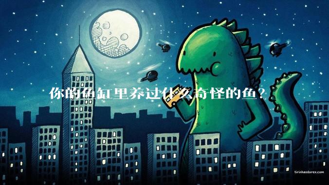 你的鱼缸里养过什么奇怪的鱼？