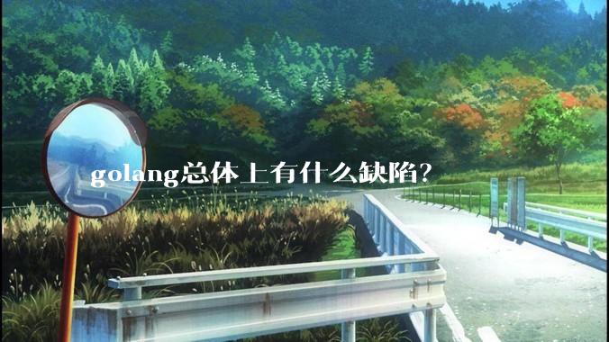 golang总体上有什么缺陷？