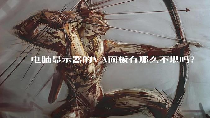 电脑显示器的VA面板有那么不堪吗？