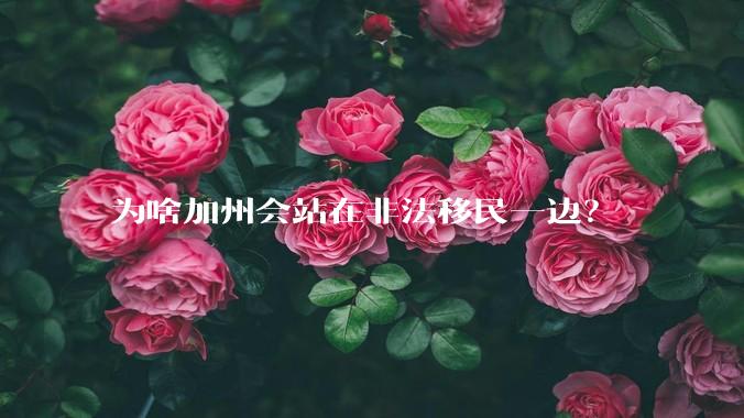 为啥加州会站在非法移民一边？