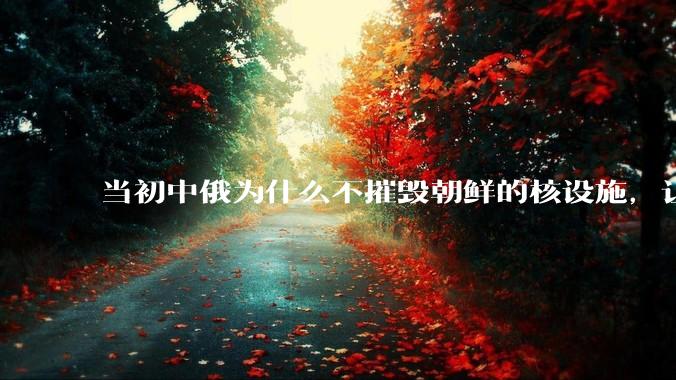 当初中俄为什么不摧毁朝鲜的核设施，让朝鲜拥有了自己的核武器？