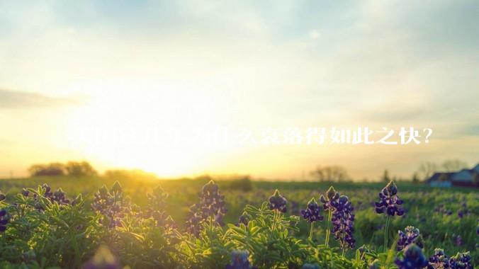 美国这几年为什么衰落得如此之快？