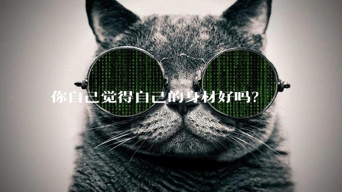 你自己觉得自己的身材好吗？