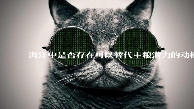 海洋中是否存在可以替代主粮潜力的动植物？
