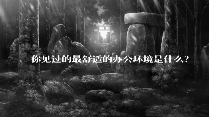 你见过的最舒适的办公环境是什么？