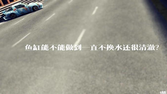 鱼缸能不能做到一直不换水还很清澈？