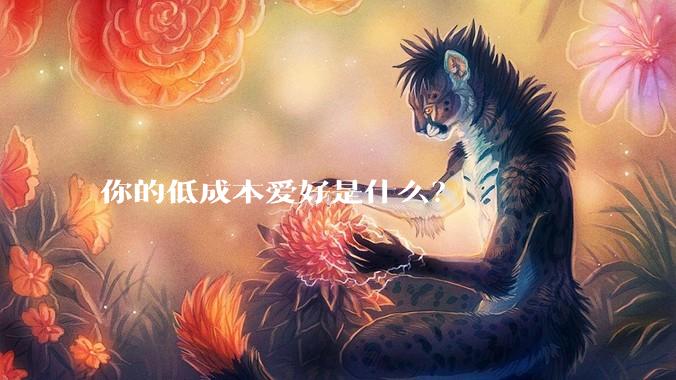 你的低成本爱好是什么？
