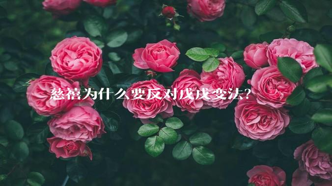 慈禧为什么要反对戊戌变法？