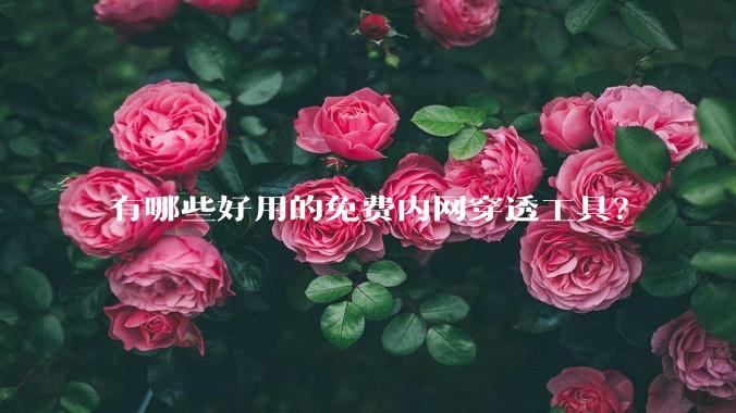 有哪些好用的免费内网穿透工具？