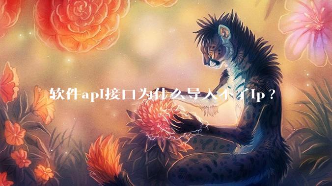 软件api接口为什么导入不了ip?