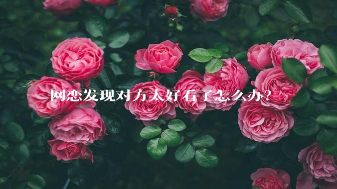 网恋发现对方太好看了怎么办？