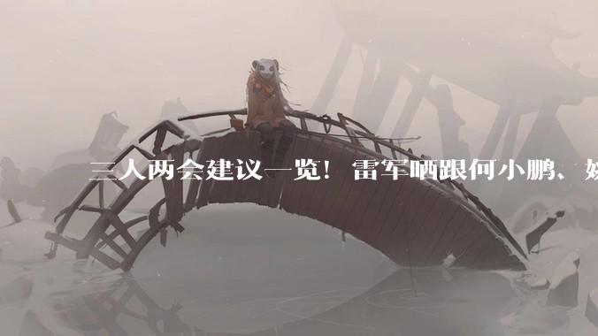三人两会建议一览！雷军晒跟何小鹏、姚劲波合影照：妥妥的C位_科技_低空_汽车