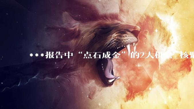 ***报告中“点石成金”的2大机会_核聚变_未来_产业