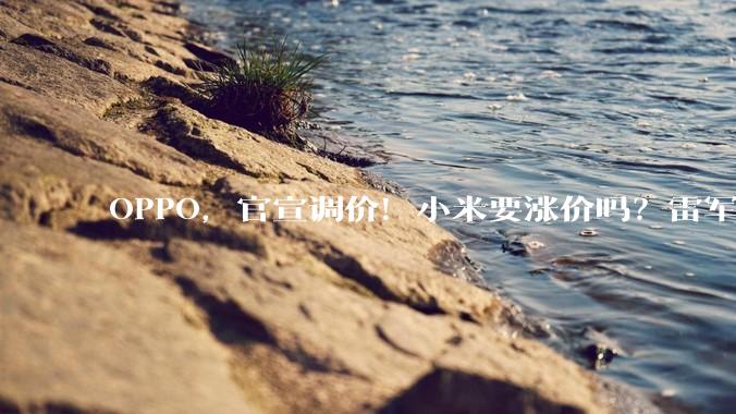 OPPO，官宣调价！小米要涨价吗？雷军：尽量降低消费者接受难度！业内：手机厂商也是“受害者”，***购成本实在“负担不住”_内存_售价_价格