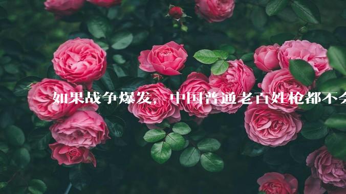 如果战争爆发，中国普通老百姓枪都不会打该怎样自卫？