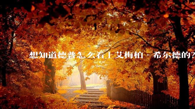 想知道德普怎么看上艾梅柏·希尔德的？