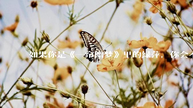 如果你是《一帘幽梦》里的绿萍，你会不会最后原谅紫菱？