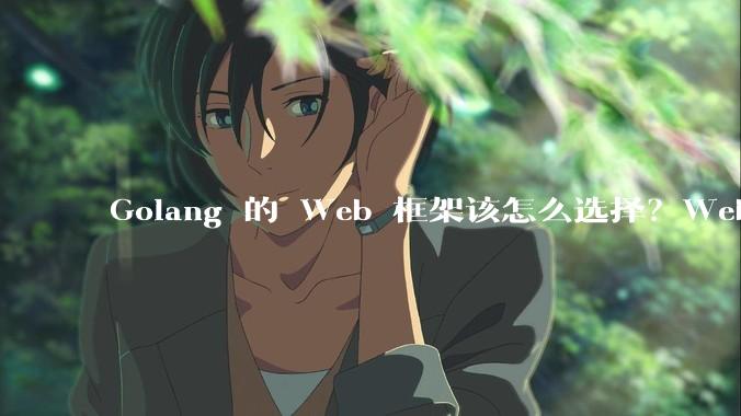 Golang 的 Web 框架该怎么选择？Web 开发又该怎样学？