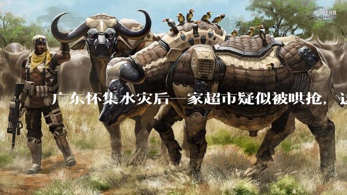 广东怀集水灾后一家超市疑似被哄抢，这种行为在灾难面前的道德和法律问题如何看待？