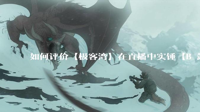 如何评价【极客湾】在直播中实锤【B 站不交保护费就限流】？