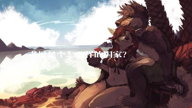 老挝是个怎么样的国家？