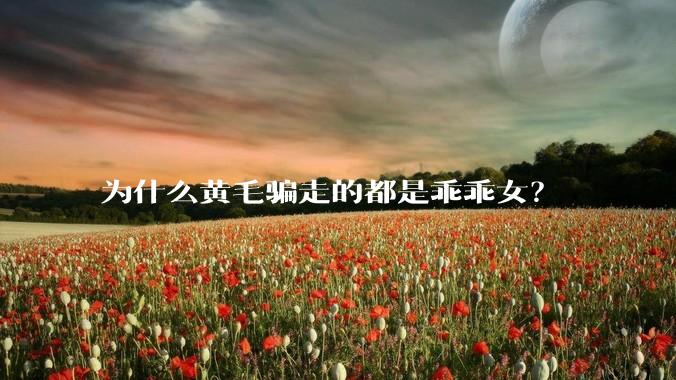 为什么黄毛骗走的都是乖乖女？