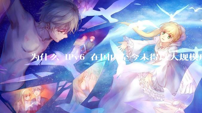 为什么 IPv6 在国内至今未得以大规模应用?