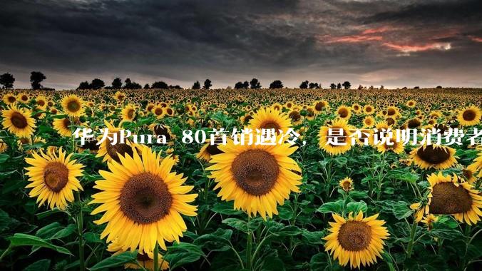 华为Pura 80首销遇冷，是否说明消费者已经开始对麒麟芯片性能有所觉醒？