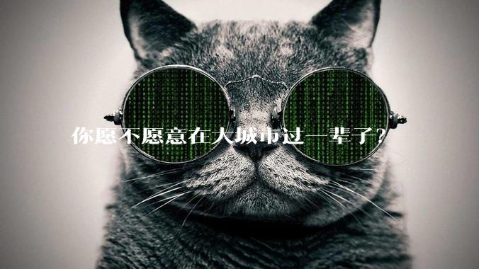 你愿不愿意在大城市过一辈子？