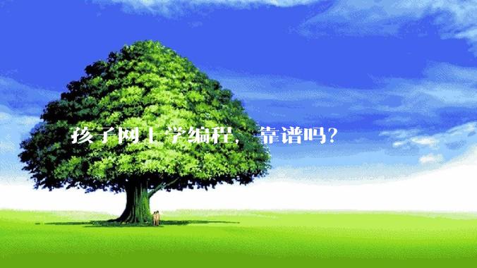 孩子网上学编程，靠谱吗？