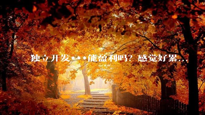 独立开发***能盈利吗？感觉好累...